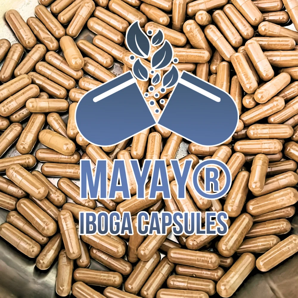 Le Format 5 capsules — photographie du catalogue MAYAY