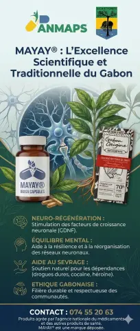 Affiche de présentation de plantes et produits gabonais
