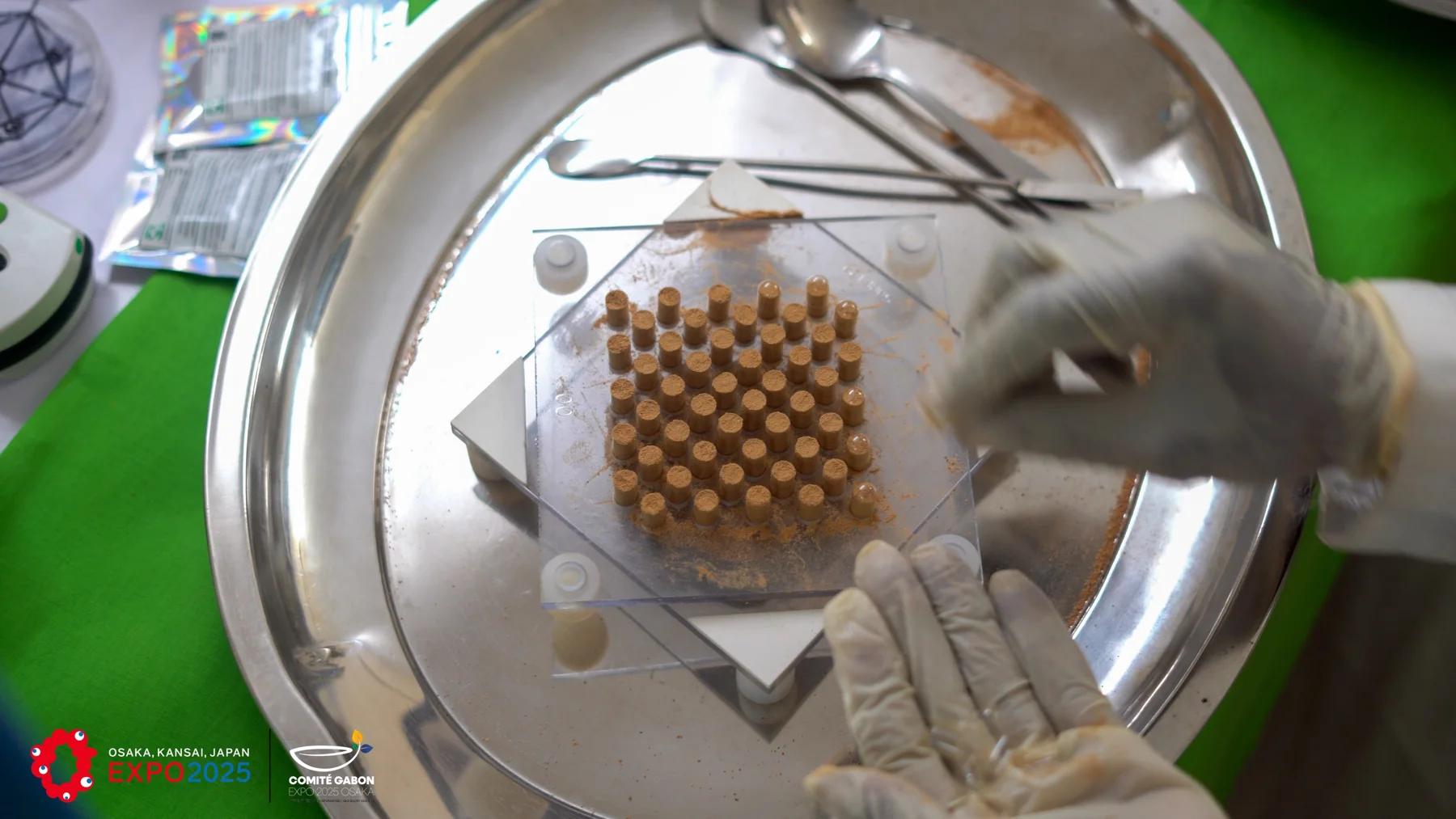 Manipulation d’un plateau de gélules en laboratoire — archives MAYAY