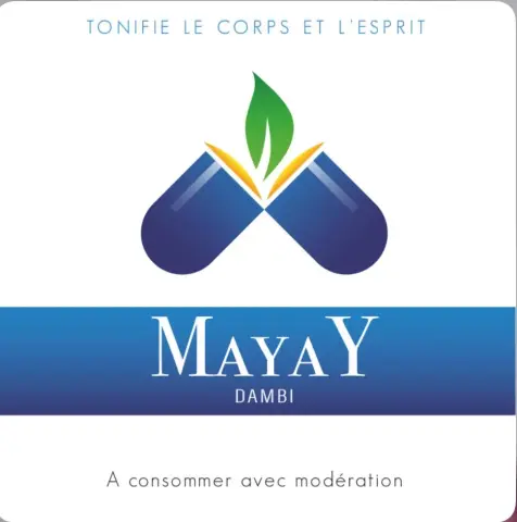 Logo MAYAY bleu et vert avec sa signature