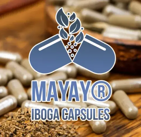 Logo MAYAY Iboga Capsules sur fond de gélules