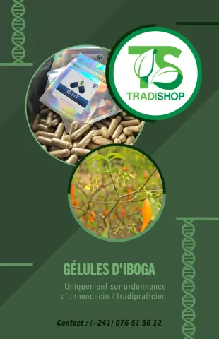 Présentation des gélules d’iboga Tradishop et de leur emballage