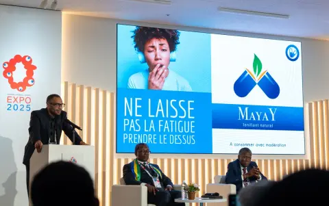 Présentation du MAYAY sur grand écran lors d’une conférence à Osaka 2025