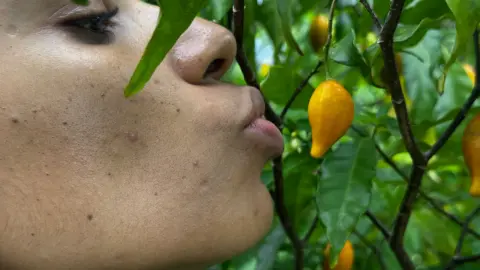 Profil d’un participant près des fruits d’un arbuste d’iboga