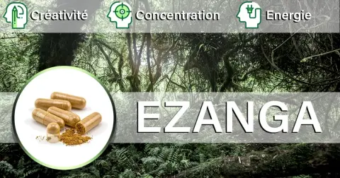 Visuel Ezanga avec forêt et gélules