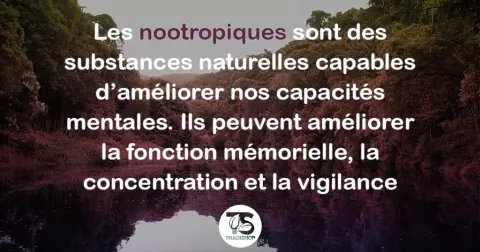 Visuel Tradishop consacré aux plantes et aux nootropiques